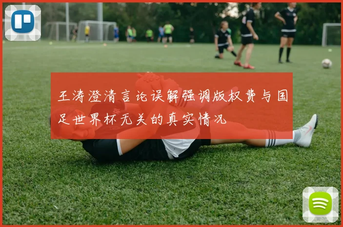 王涛澄清言论误解强调版权费与国足世界杯无关的真实情况